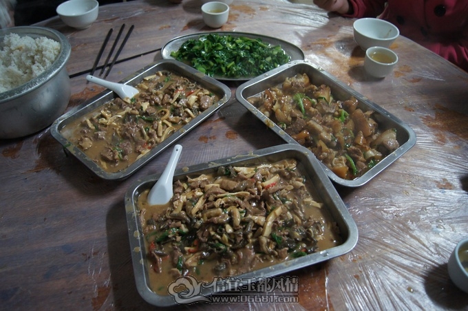 DSC08928.JPG