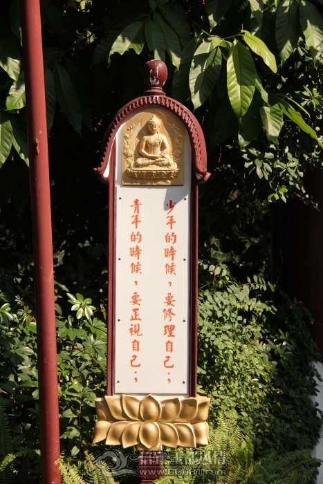 DPP_00183.JPG