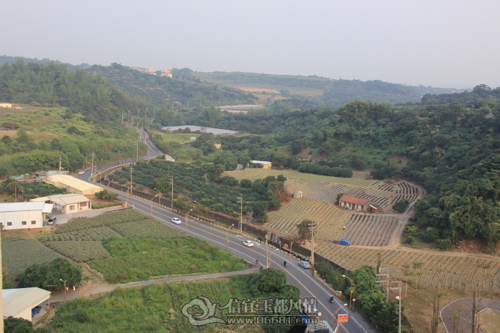 DPP_00197.JPG