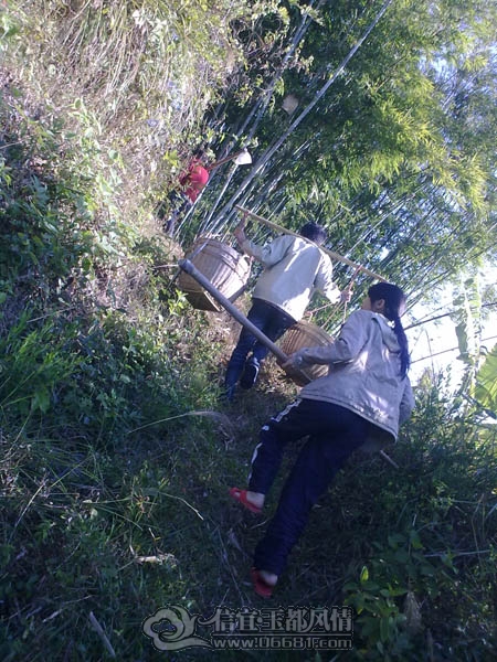 201112043248.jpg