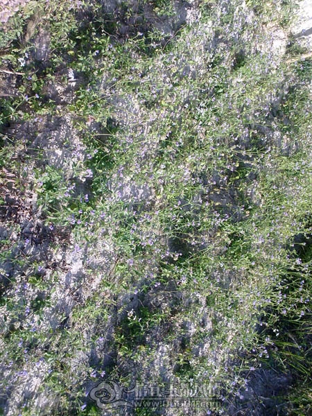 201112043252.jpg