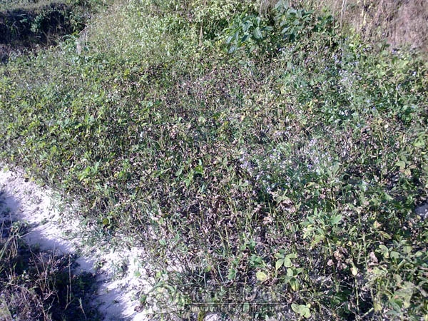 201112043255.jpg
