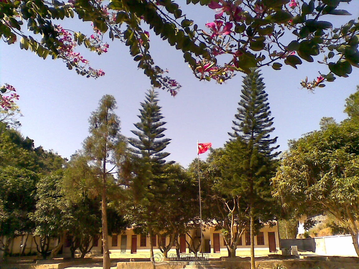 20111203(005).jpg