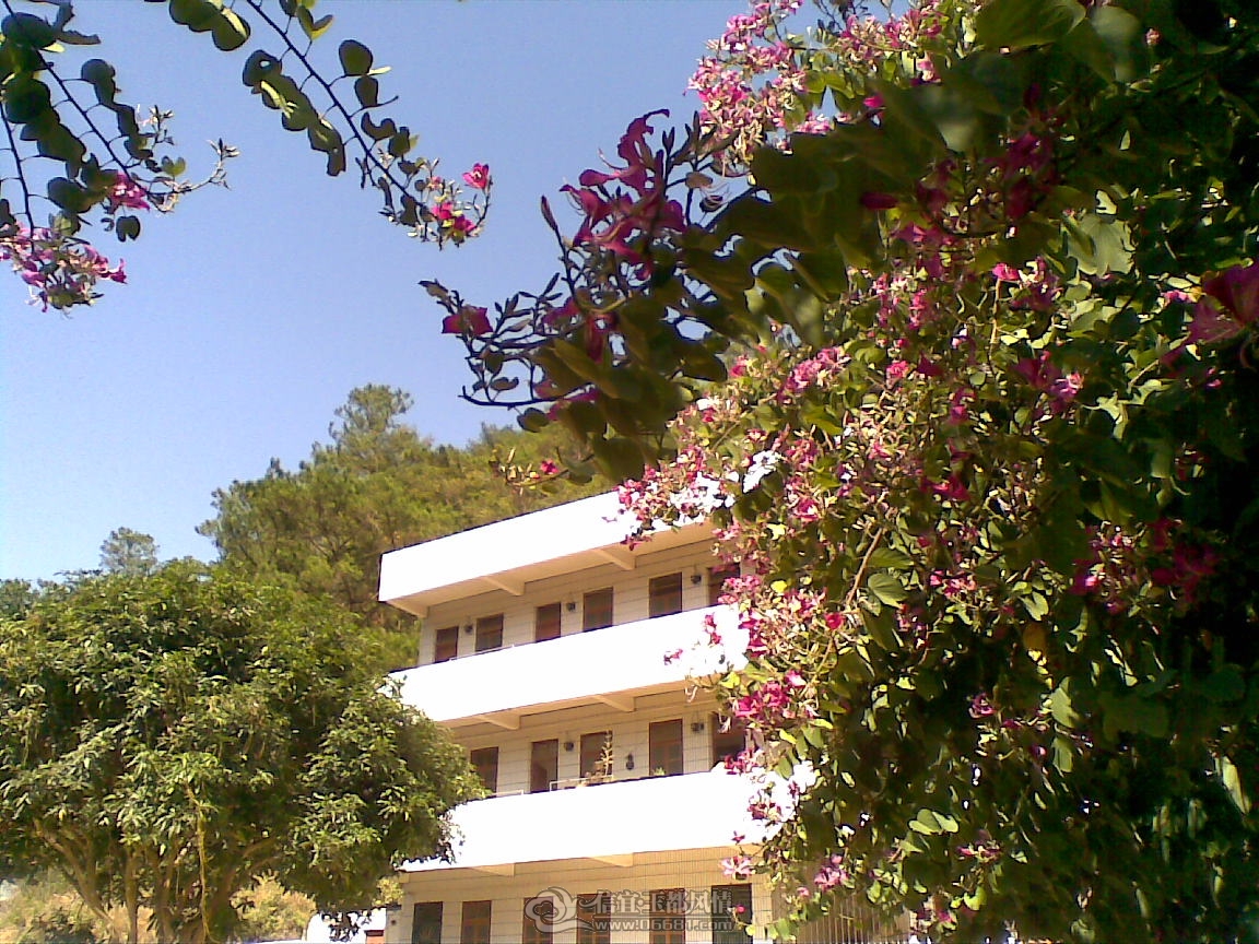 20111203(007).jpg