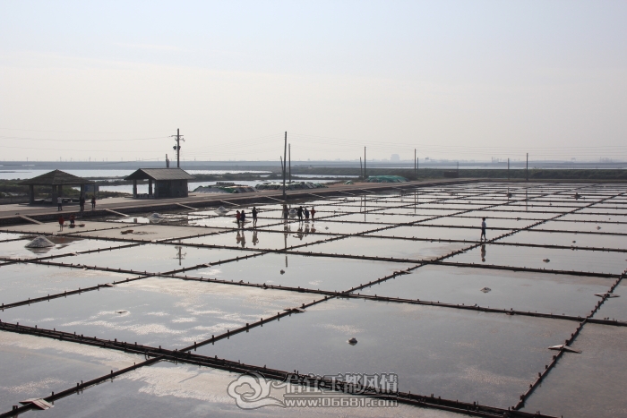DPP_00241.JPG
