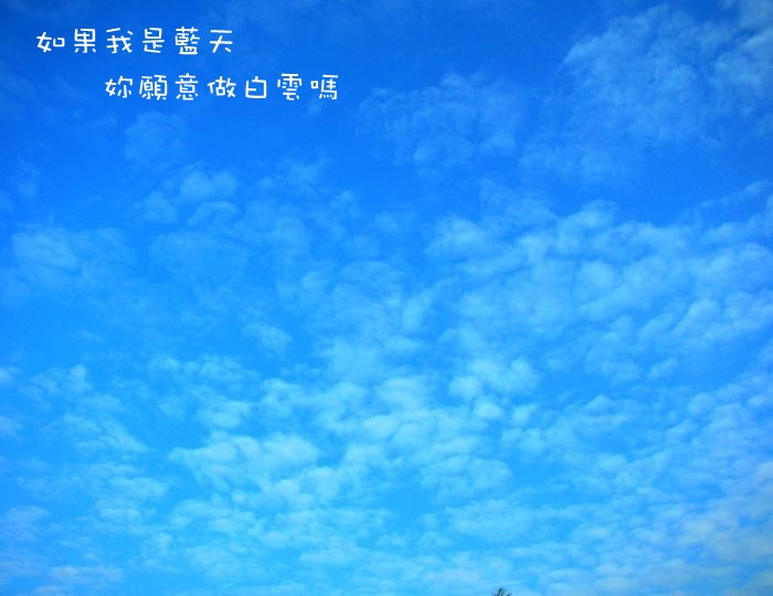 DSCN1606_conew1.jpg