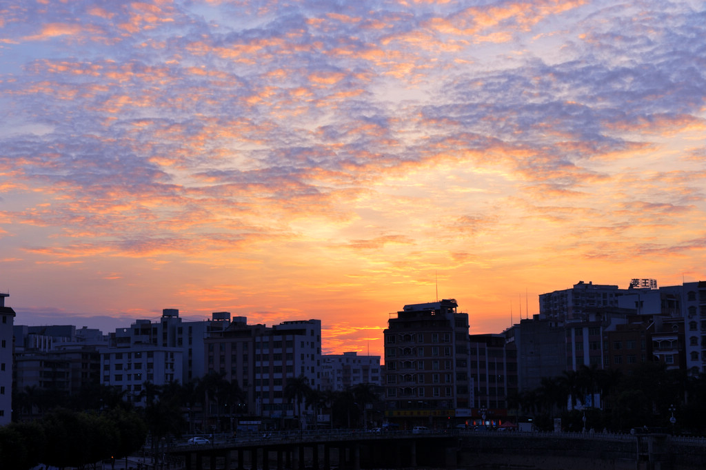 DSC_2651.jpg