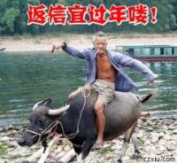 ��ţ�ؼ�.jpg