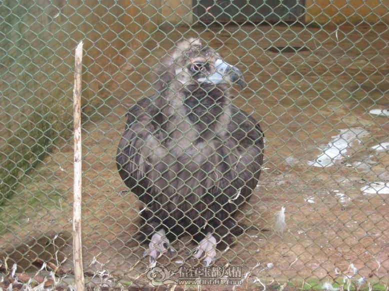 ������С IMG_5491.JPG
