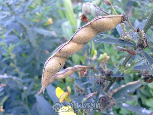 201112043331.jpg