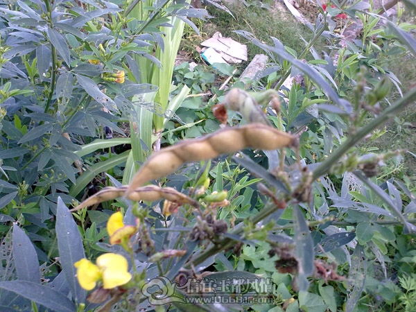 201112043322.jpg