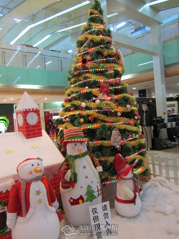 IMG_1612_����.jpg