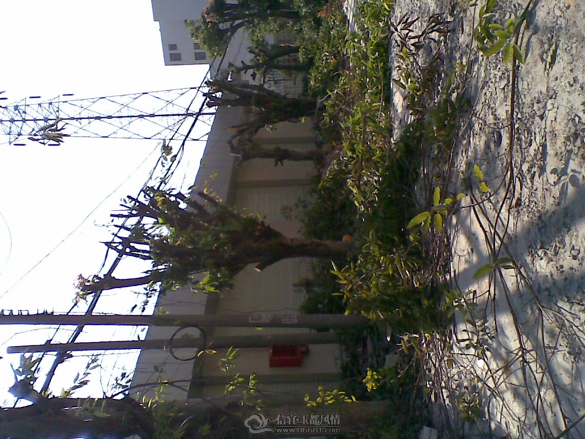 20111204(003).jpg