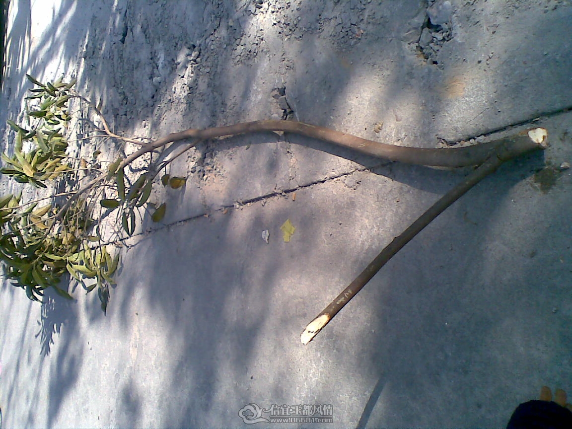 20111204(004).jpg