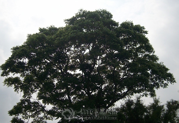 ��Ƭ 046_����.jpg