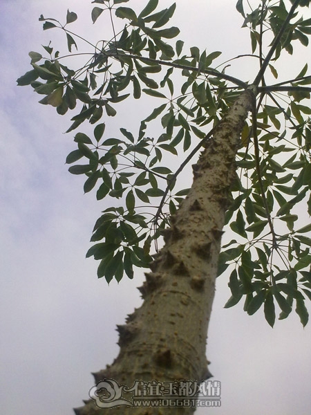 201112093438.jpg