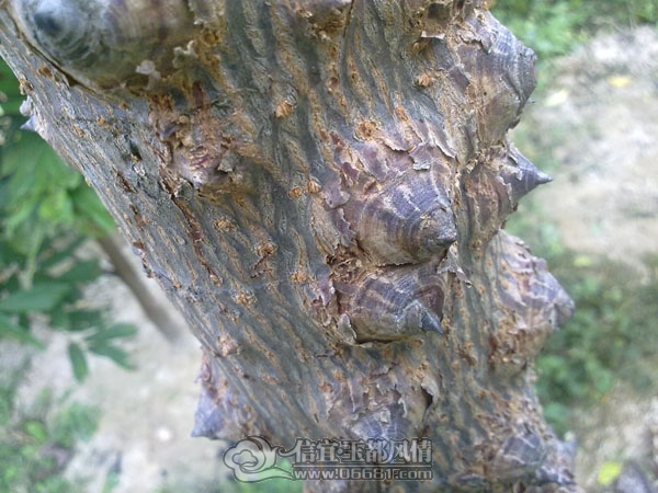 201112093437.jpg