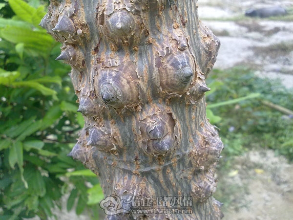 201112093436.jpg