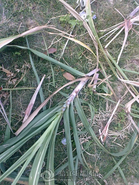 201112093433.jpg