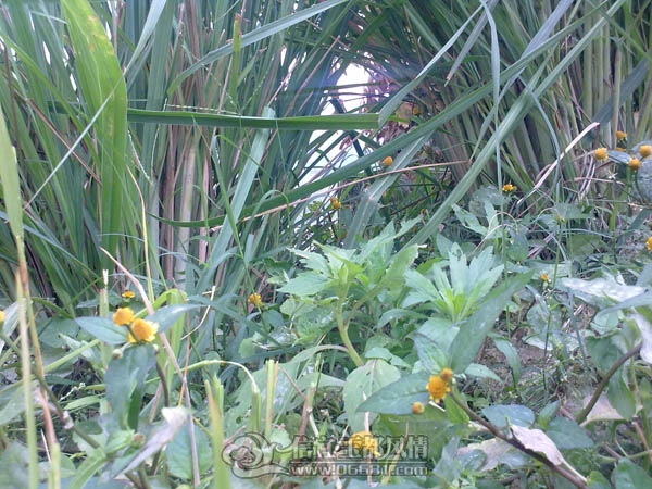 201112093425.jpg