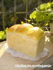 DSC06790_conew1.jpg