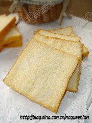 DSC07365_conew1.jpg
