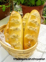 DSC09341_conew1.jpg