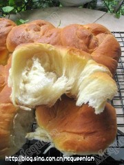 IMG_0437_conew1.jpg