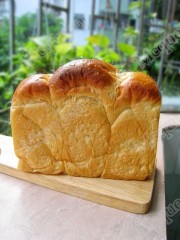 IMG_1086_conew1.jpg
