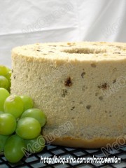 DSC07308_conew1.jpg