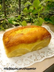 DSC08235_conew1.jpg