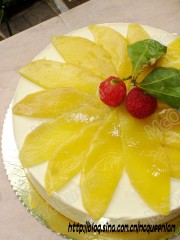 DSC08290_conew1.jpg