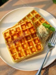 IMG_0896_conew1.jpg
