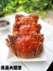 IMG_0784_conew1.jpg