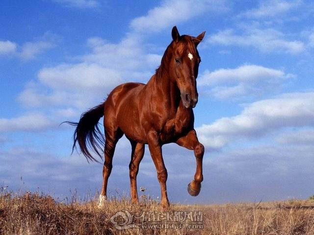 ������С e1c0afed2cc9d3972e2e2121.jpg
