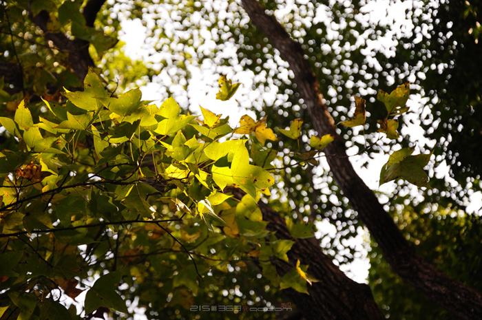 DSC_8089.jpg