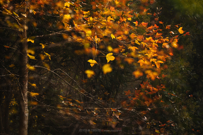 DSC_8163.jpg