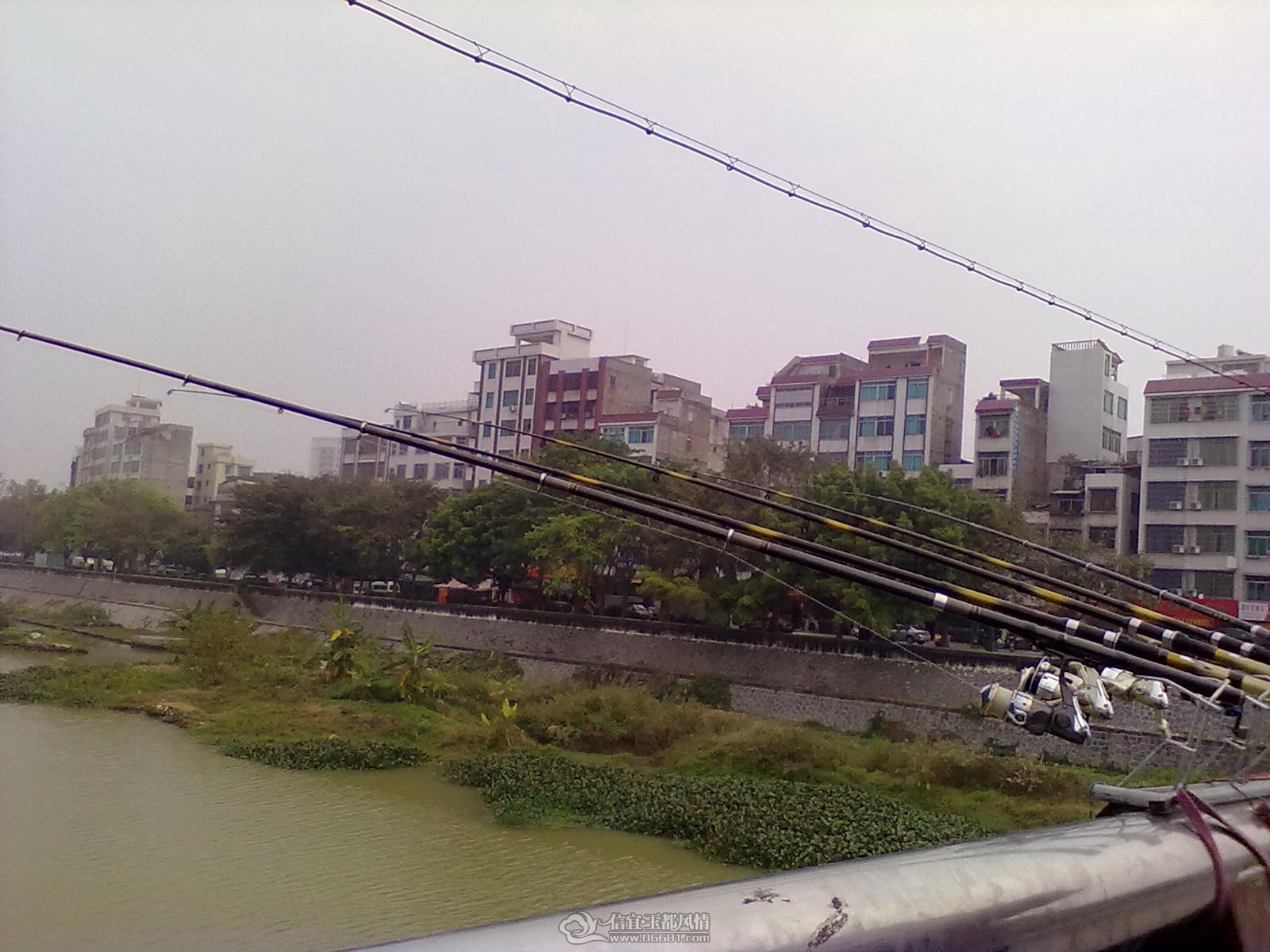 201112231169.jpg