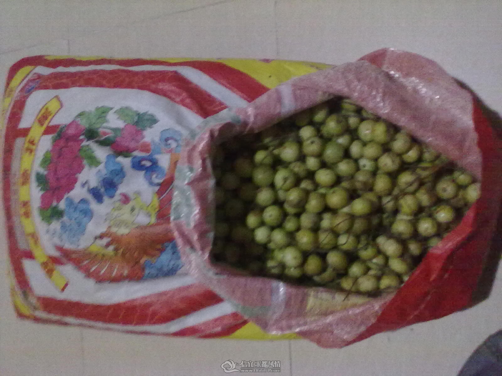 201201031238.jpg