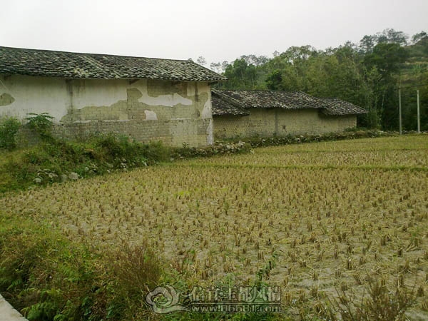 201112063392.jpg