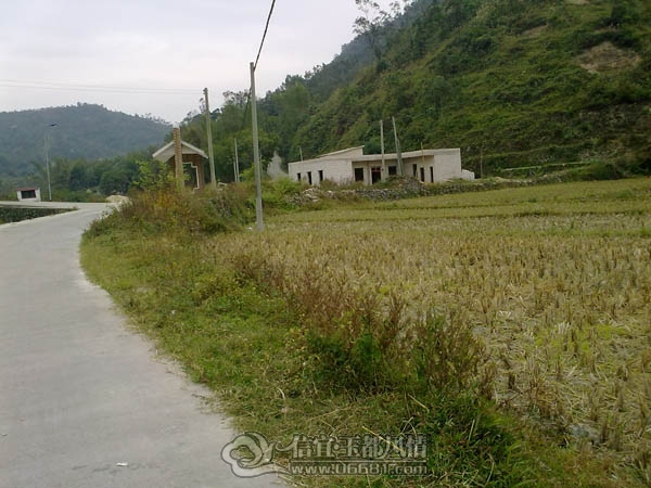 201112063388.jpg