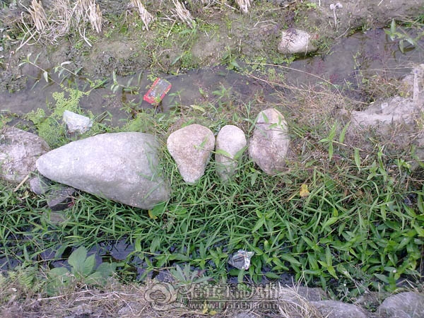 201112063387.jpg