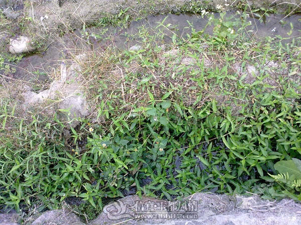 201112063386.jpg