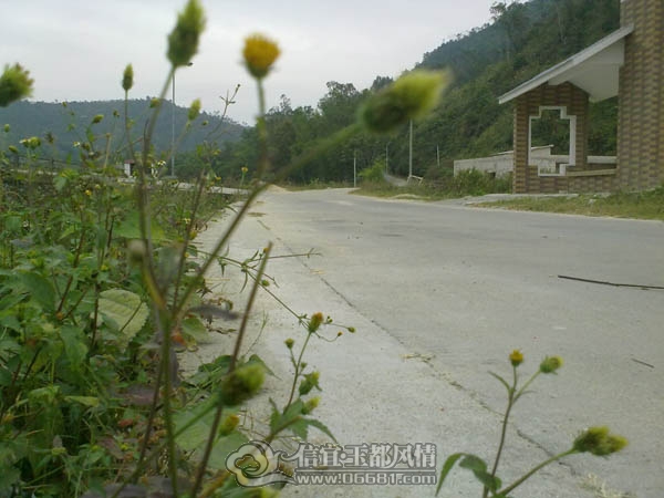 201112063382.jpg