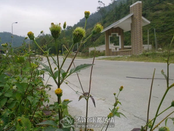 201112063380.jpg
