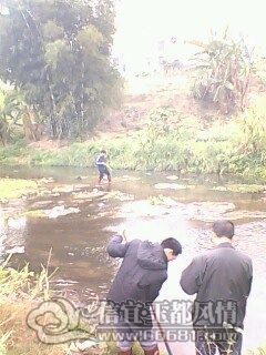 IMG0436A.jpg