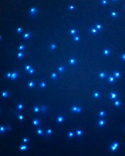 IMG0146A.jpg