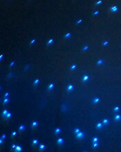 IMG0147A.jpg