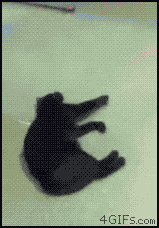 δ����.gif