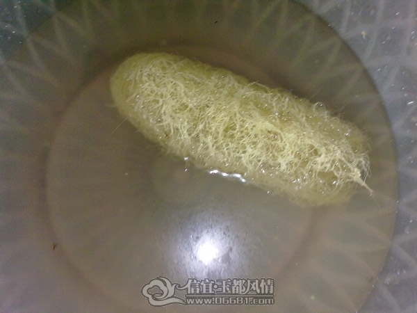 201112103456.jpg